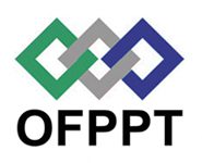 Offre des formations diversifiées au profit des jeunes en phase d'autonomisation dans le cadre du programme: " Formation Insertion-Emploi ".
